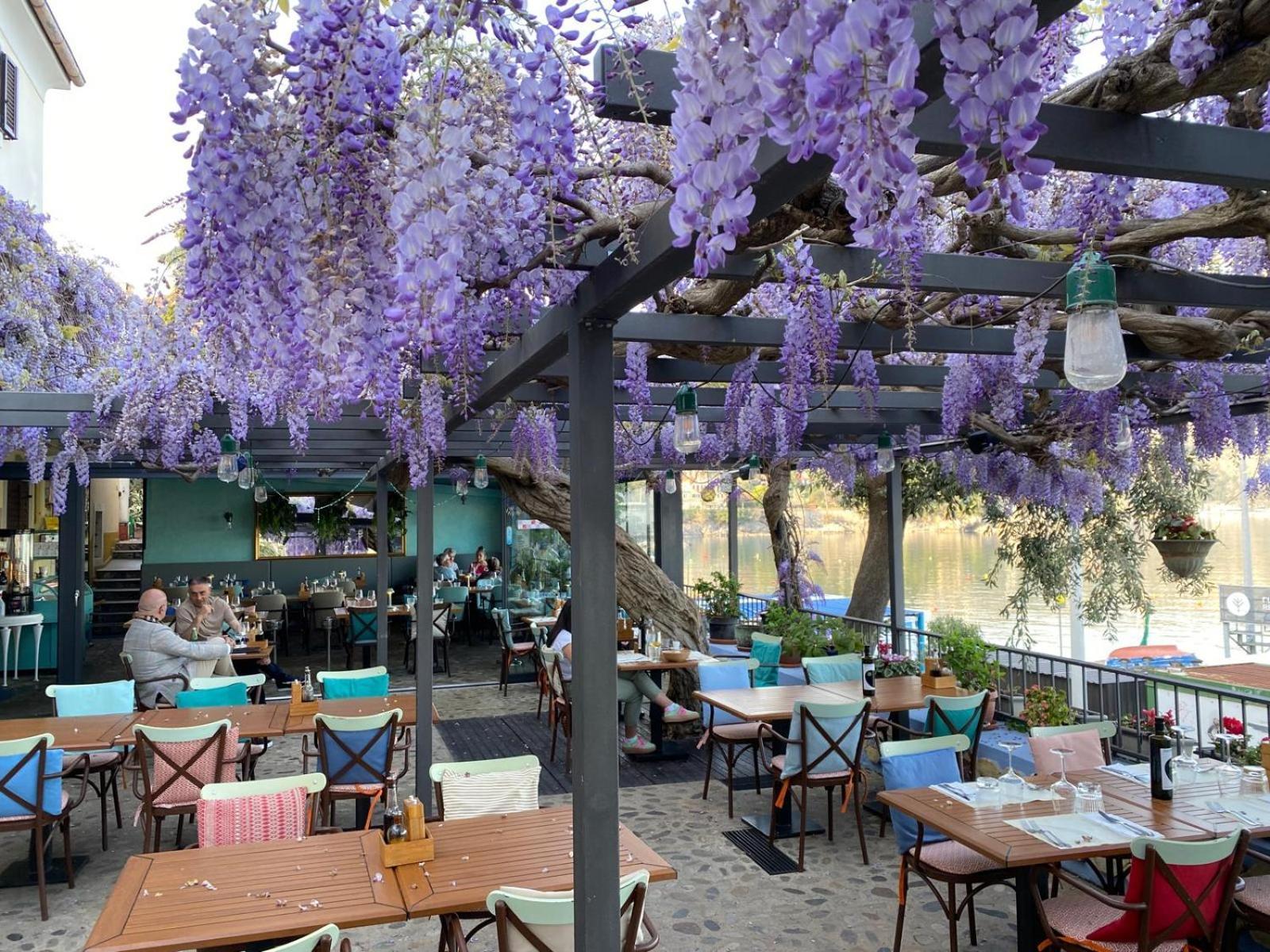 Apartment Mirna - What You See Is What You Get Opatija Bagian luar foto